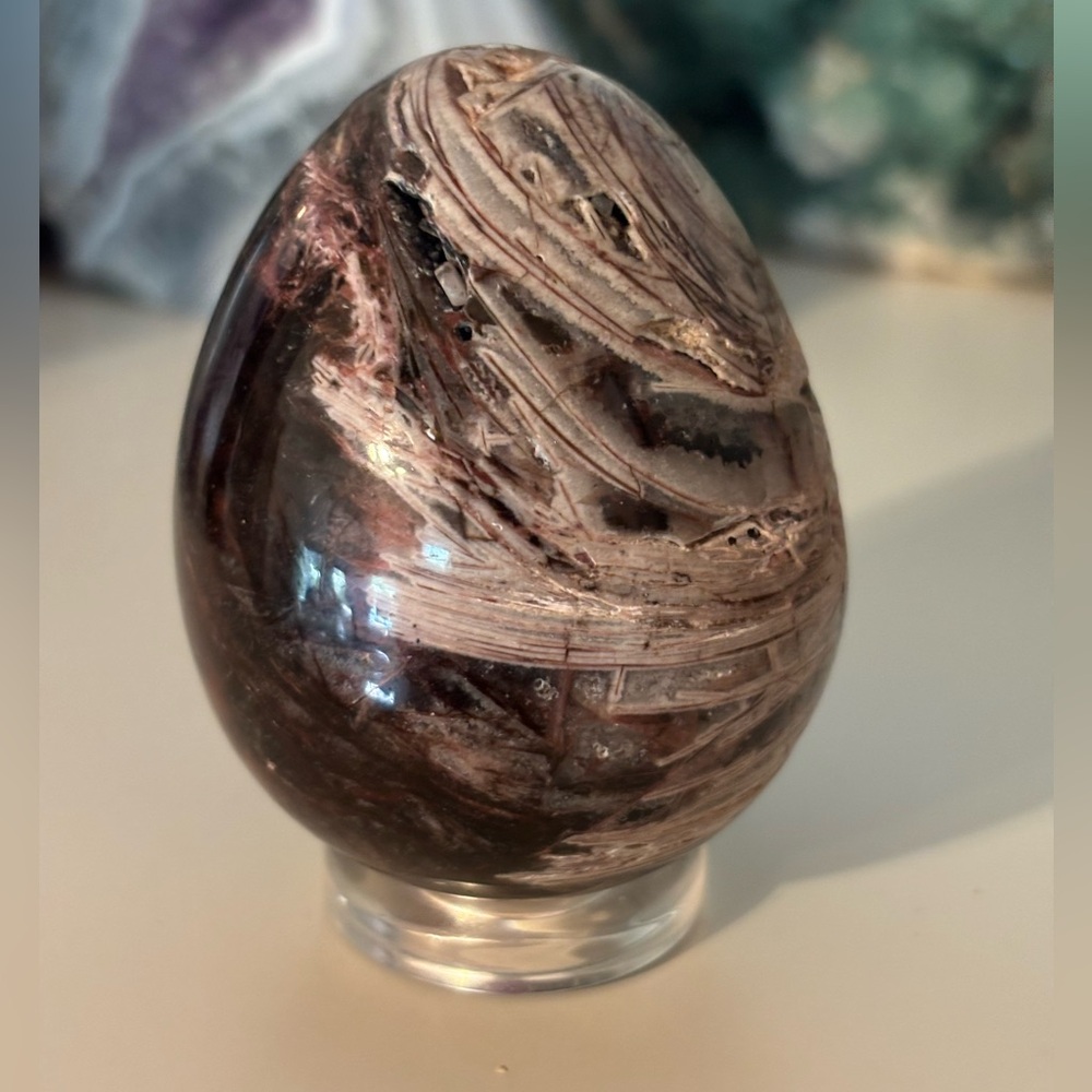 🌳 Petrified Wood Agatized Egg with Quartz & Chalcedony Bands | Madagascar